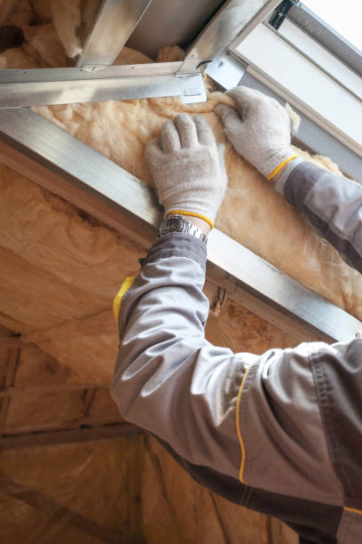 Best Insulation Removal  in Alva, OK