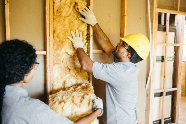 Best Energy-efficient Insulation  in Alva, OK